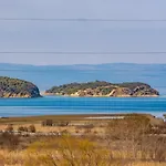 Nedo סופטרסקה דראגה